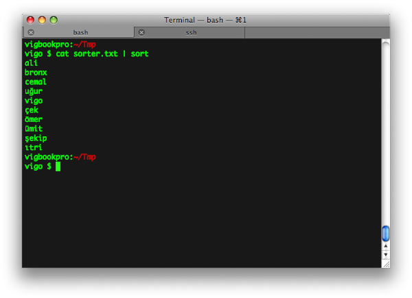 Ekran görüntüsü: cat sorter.txt | sort çıktısı