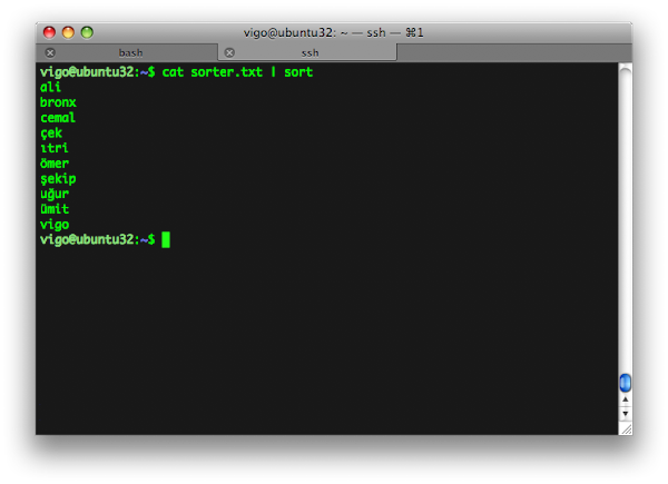 Ekran görüntüsü: Ubuntu Terminal’de cat sorter.txt | sort çıktısı